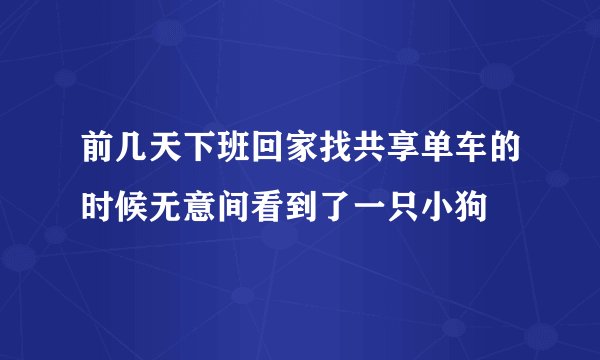 前几天下班回家找共享单车的时候无意间看到了一只小狗