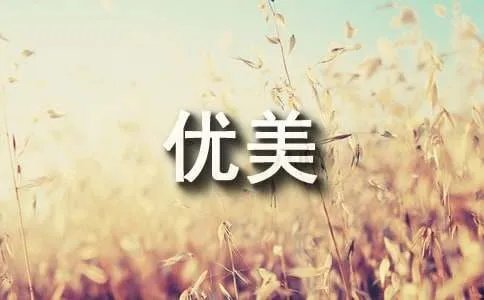 描写油菜花田的优美句子
