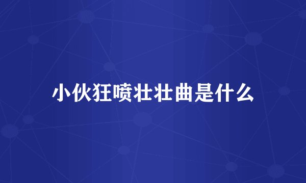 小伙狂喷壮壮曲是什么
