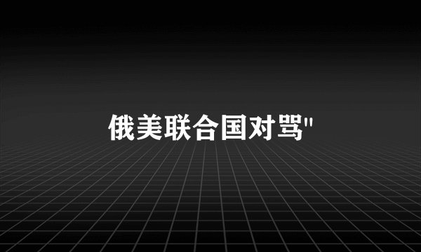 俄美联合国对骂