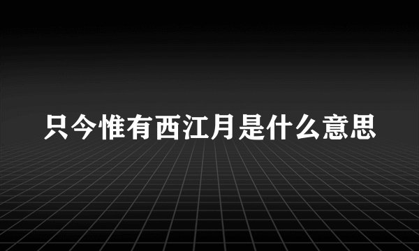 只今惟有西江月是什么意思