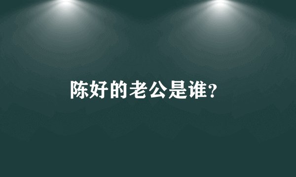 陈好的老公是谁?