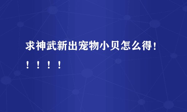 求神武新出宠物小贝怎么得！！！！！