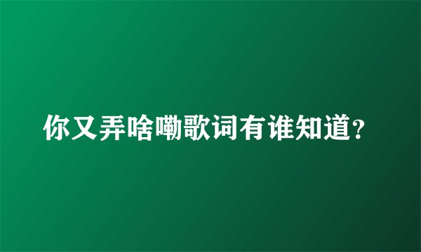 你又弄啥嘞歌词有谁知道？