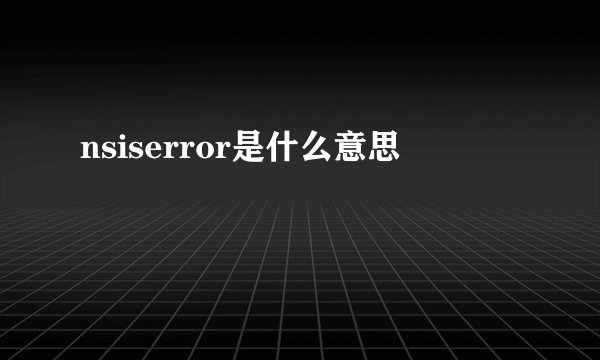 nsiserror是什么意思