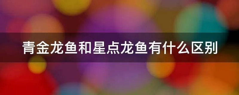 青金龙鱼和星点龙鱼有什么区别