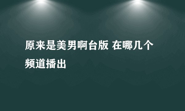 原来是美男啊台版 在哪几个频道播出