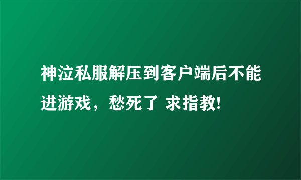神泣私服解压到客户端后不能进游戏，愁死了 求指教!