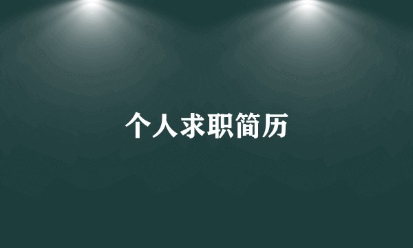 个人求职简历