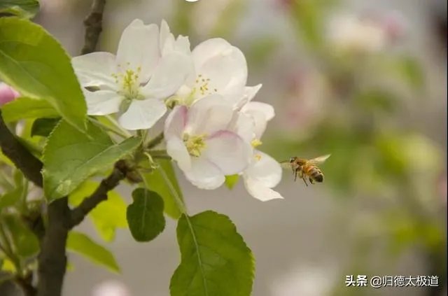 摄影是艺术吗?
