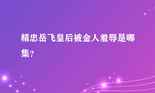 精忠岳飞皇后被金人羞辱是哪集？
