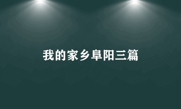 我的家乡阜阳三篇