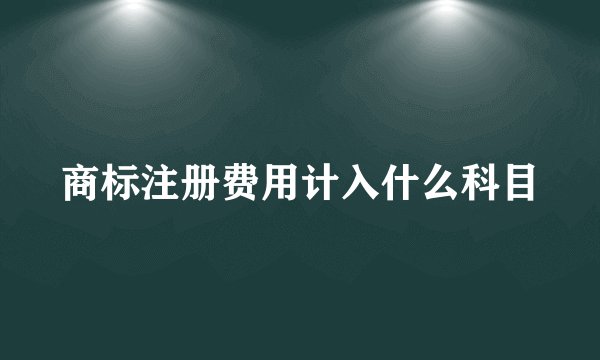 商标注册费用计入什么科目