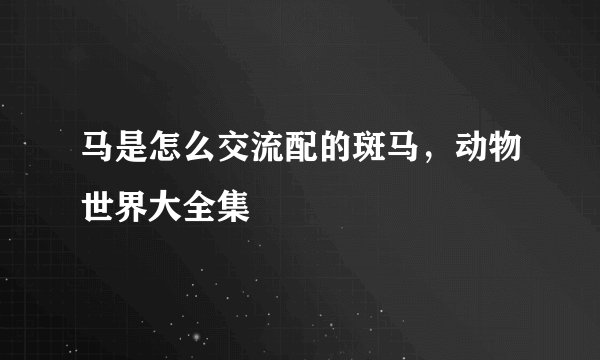 马是怎么交流配的斑马，动物世界大全集