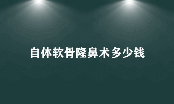 自体软骨隆鼻术多少钱