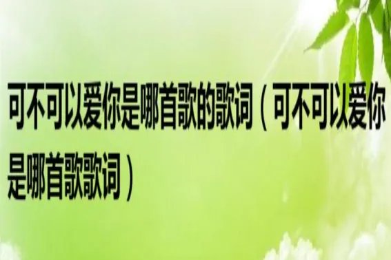 可不可以爱你原唱dj