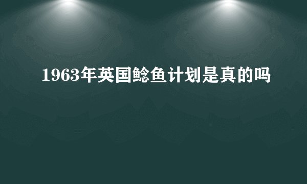 1963年英国鲶鱼计划是真的吗