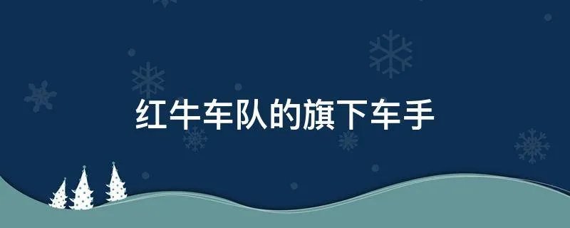 红牛车队的旗下车手