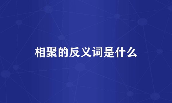 相聚的反义词是什么
