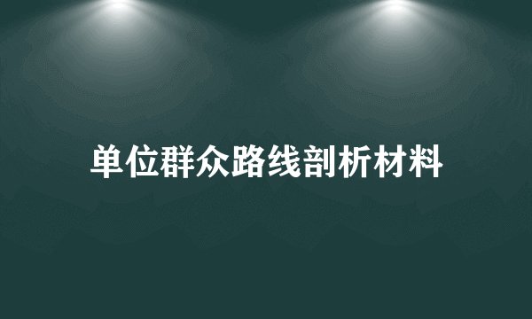 单位群众路线剖析材料