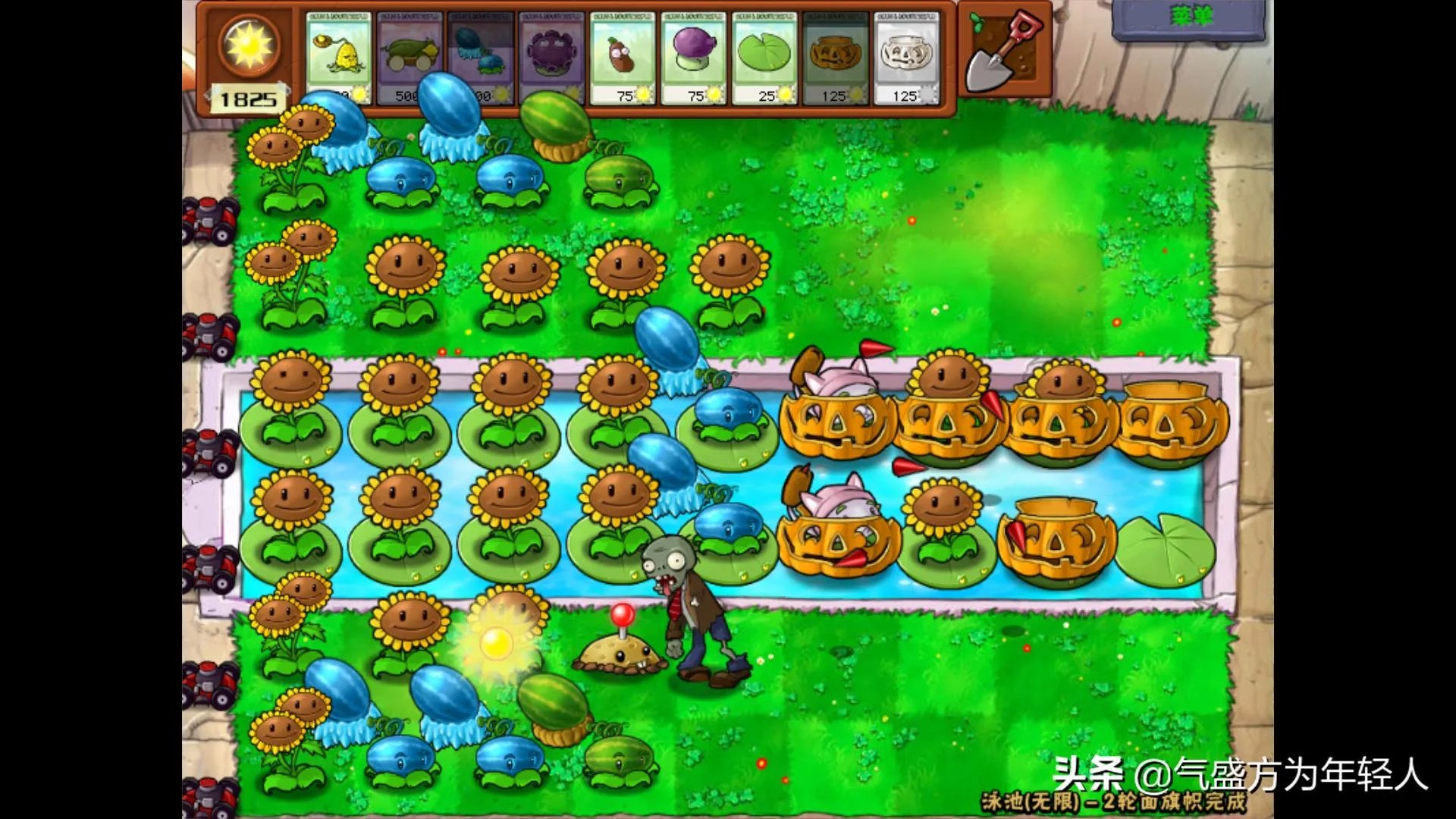 植物大战僵尸攻略大全图解(最佳阵型分析)