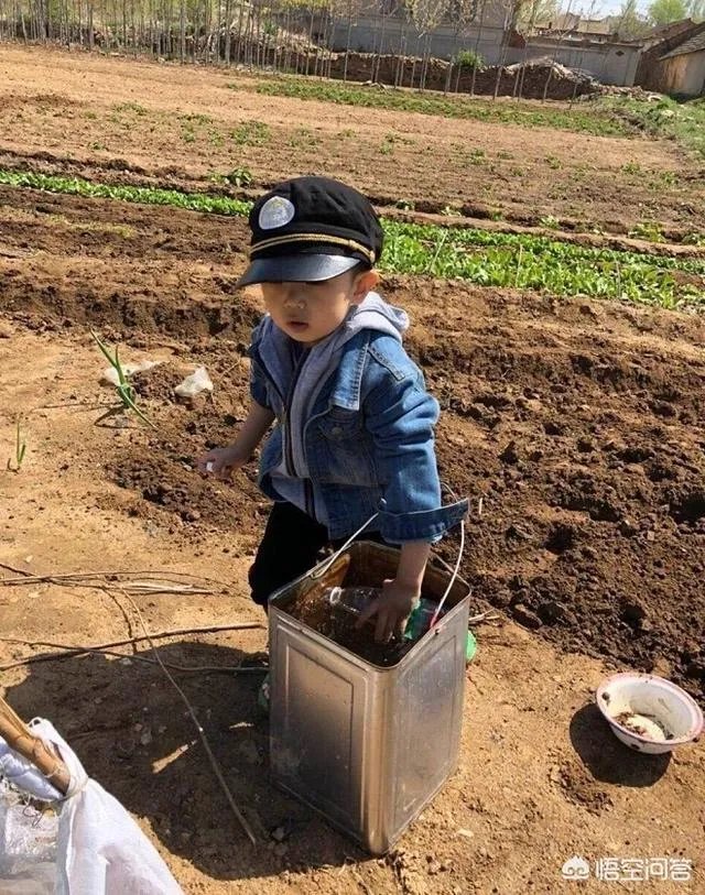 韩德君每场比赛都给观众鞠躬，夺冠后帮母亲下田种菜，你怎么看？