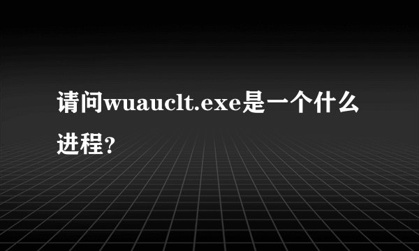 请问wuauclt.exe是一个什么进程？