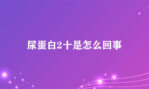 尿蛋白2十是怎么回事