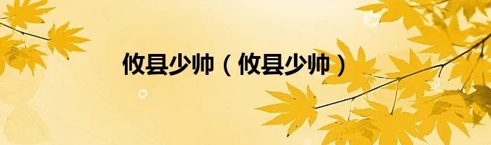 攸县少帅（攸县少帅）