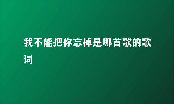 我不能把你忘掉是哪首歌的歌词