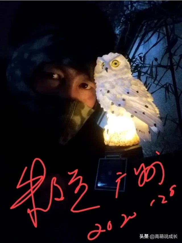 2020年2月2日晚20时20分,你记录了什么?