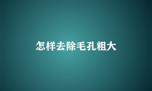 怎样去除毛孔粗大