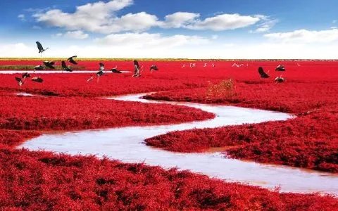 求盘锦旅游景点大全排名,哪些比较推荐?