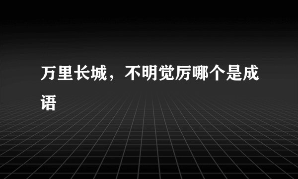 万里长城，不明觉厉哪个是成语