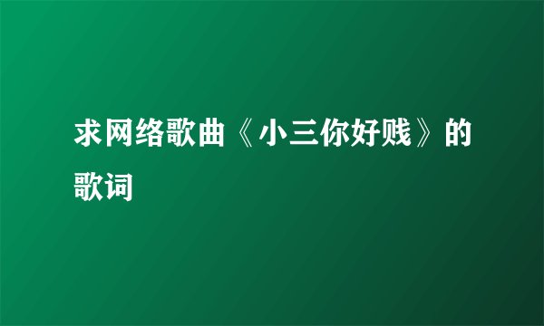 求网络歌曲《小三你好贱》的歌词