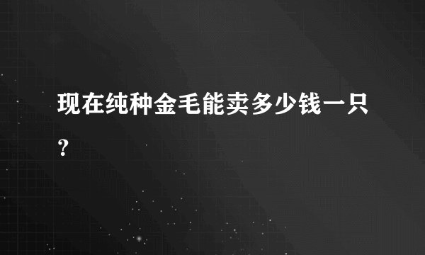 现在纯种金毛能卖多少钱一只？