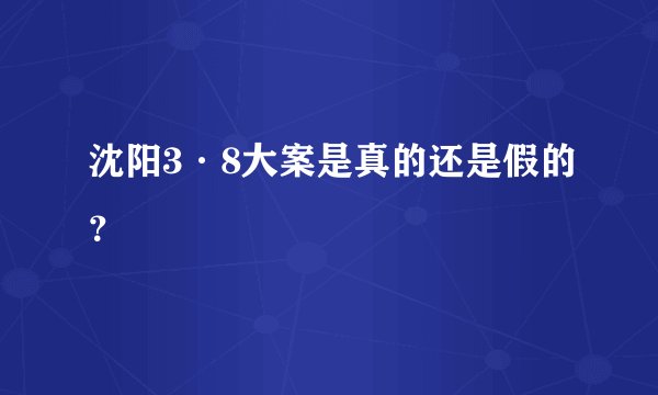 沈阳3·8大案是真的还是假的？