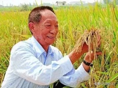 当青少年励志当网红的时候,是教育的进步还是失败?