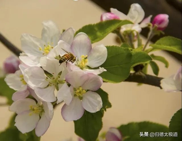 摄影是艺术吗?