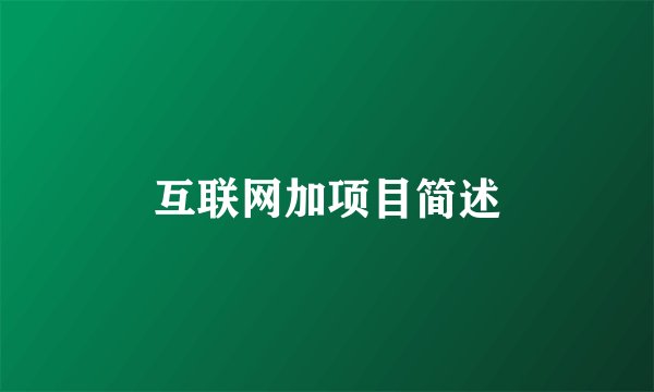 互联网加项目简述