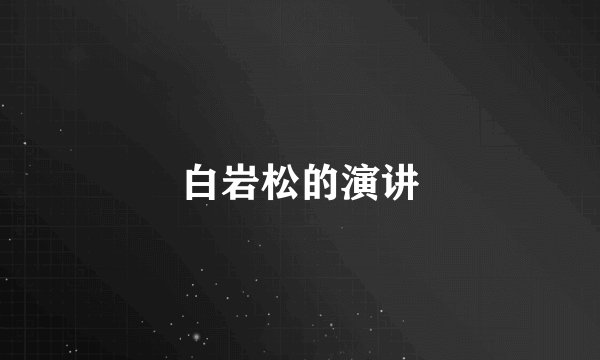 白岩松的演讲