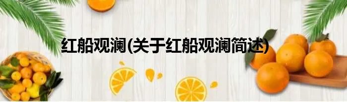 红船观澜(关于红船观澜简述)