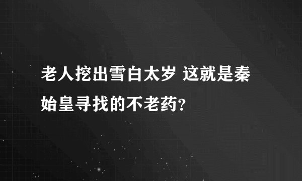 老人挖出雪白太岁 这就是秦始皇寻找的不老药？