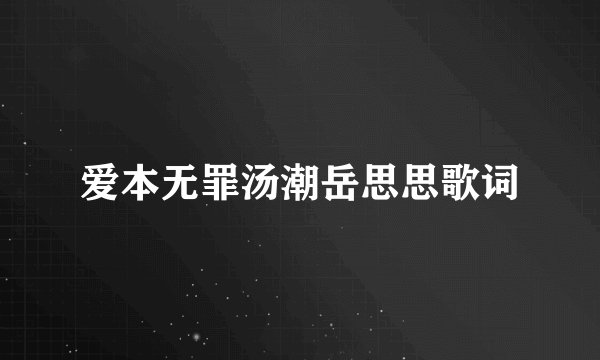 爱本无罪汤潮岳思思歌词