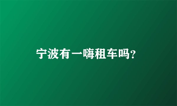 宁波有一嗨租车吗？