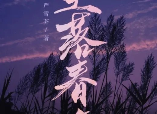 坠落春夜是he吗