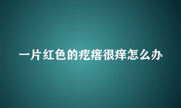 一片红色的疙瘩很痒怎么办