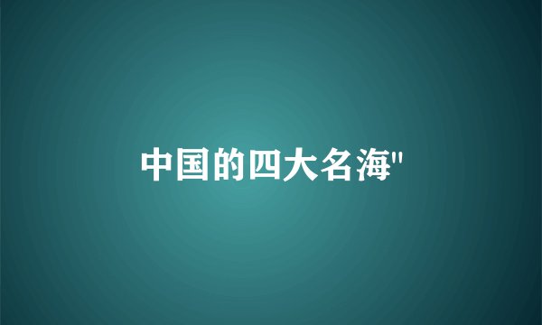 中国的四大名海
