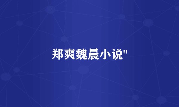 郑爽魏晨小说