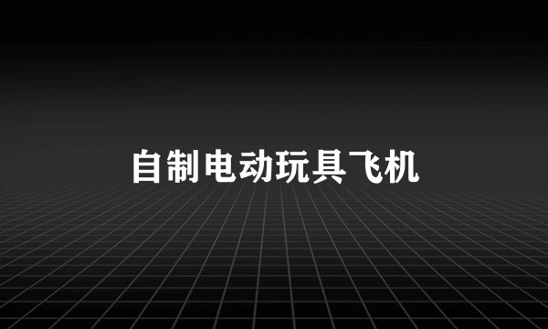 自制电动玩具飞机